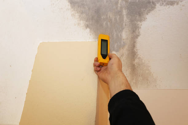 Best Residential Mold Inspection & Testing  in Cape St Claire, MD